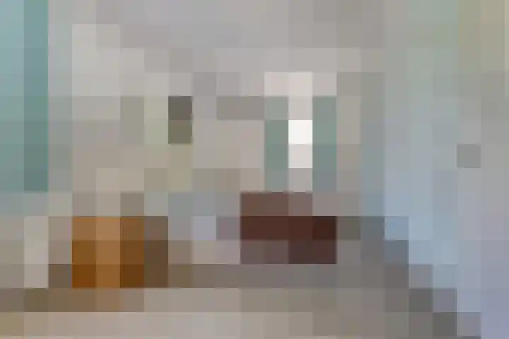 Notarisappel 188 Tiel thumbnail 26