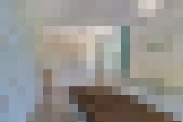 Notarisappel 188 Tiel thumbnail 27
