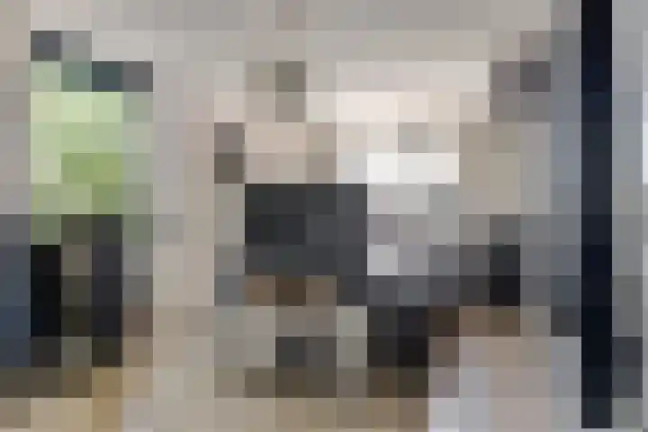 Notarisappel 188 Tiel thumbnail 28