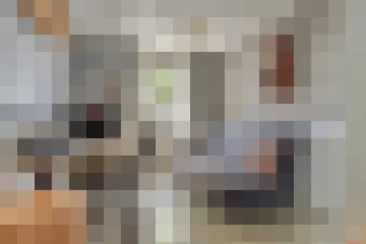 Notarisappel 188 Tiel thumbnail 30