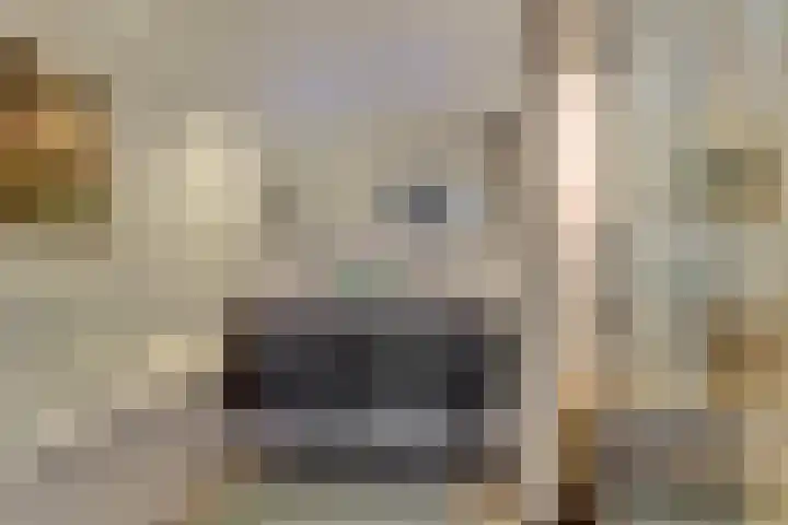 Notarisappel 188 Tiel thumbnail 31