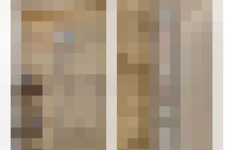 Notarisappel 188 Tiel thumbnail 33