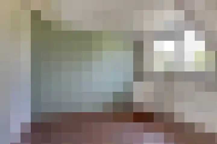 Notarisappel 188 Tiel thumbnail 38