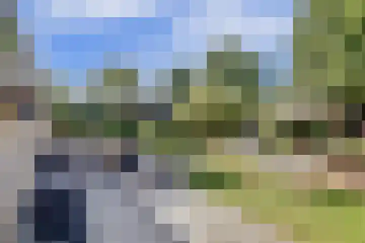 Notarisappel 188 Tiel thumbnail 41