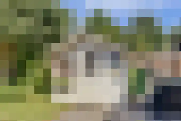Notarisappel 188 Tiel thumbnail 44
