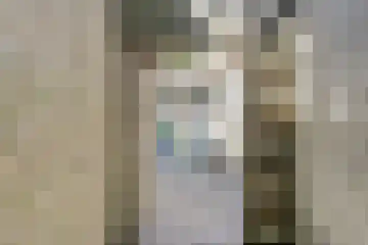 Notarisappel 188 Tiel thumbnail 45