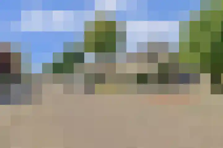 Notarisappel 188 Tiel thumbnail 46
