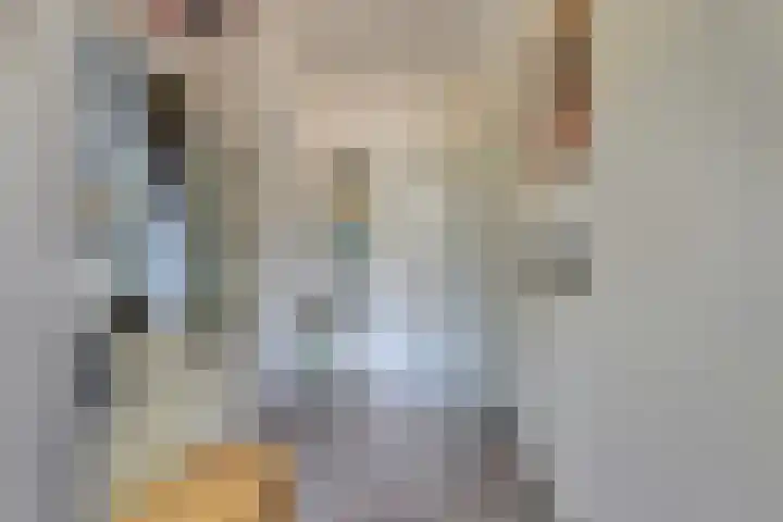 Notarisappel 188 Tiel thumbnail 7