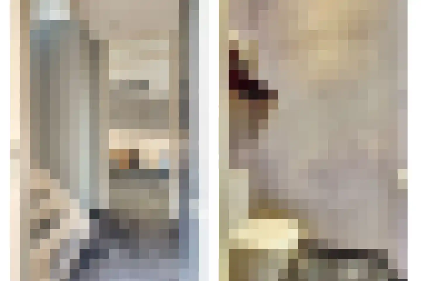 Notarisappel 20 Andijk thumbnail 15