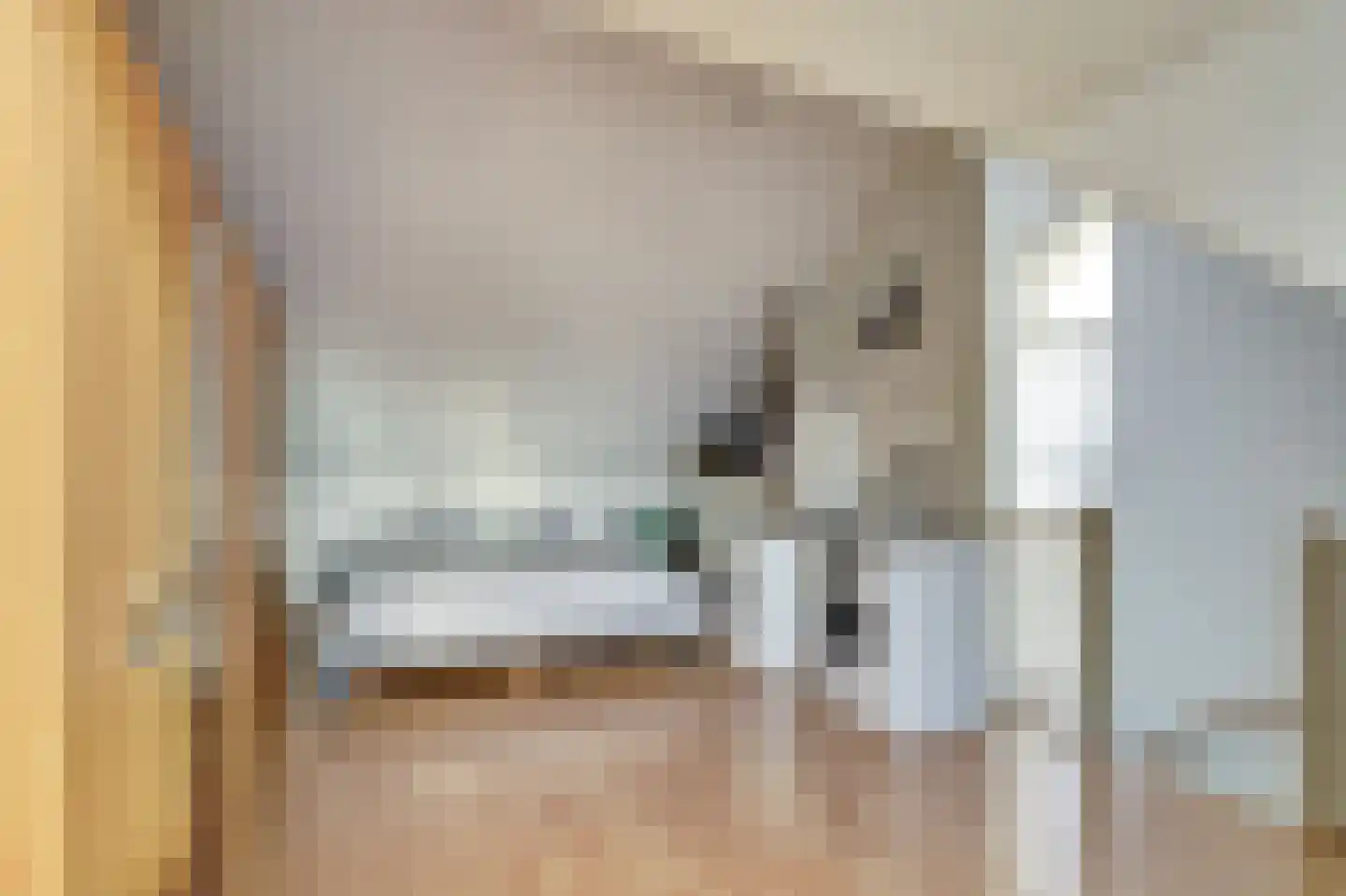 Notarisappel 20 Andijk thumbnail 24