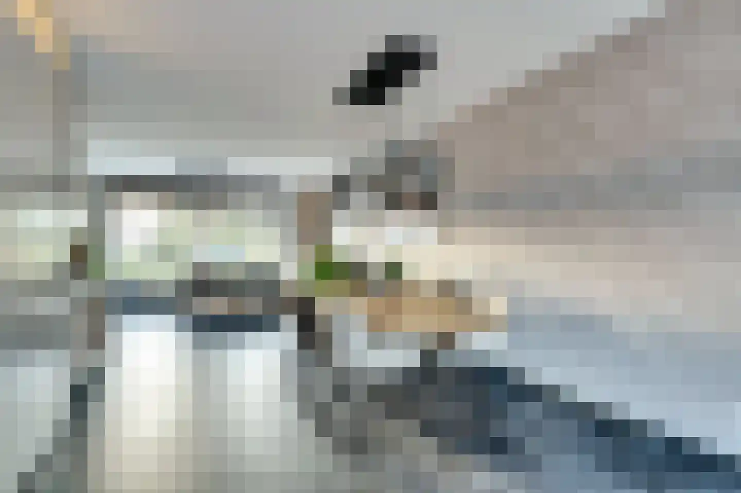 Notarisappel 20 Andijk thumbnail 9
