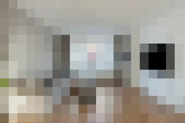Notarisappel 21 Helden thumbnail 10