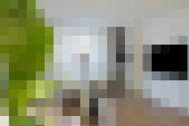 Notarisappel 21 Helden thumbnail 11