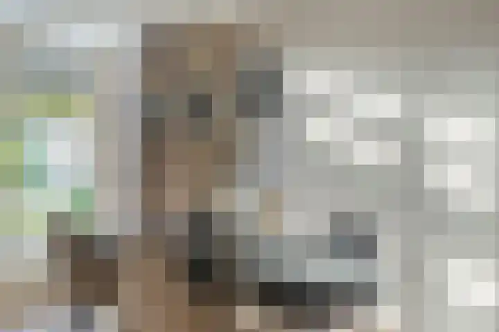 Notarisappel 21 Helden thumbnail 14