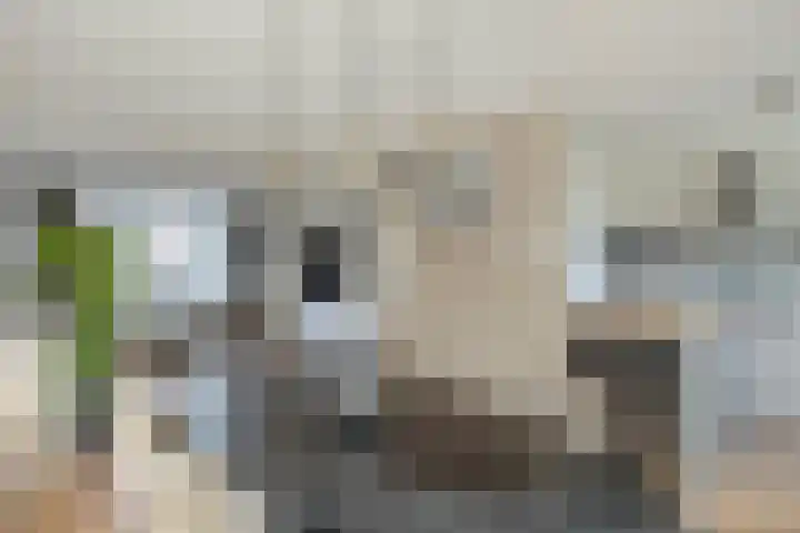 Notarisappel 21 Helden thumbnail 15