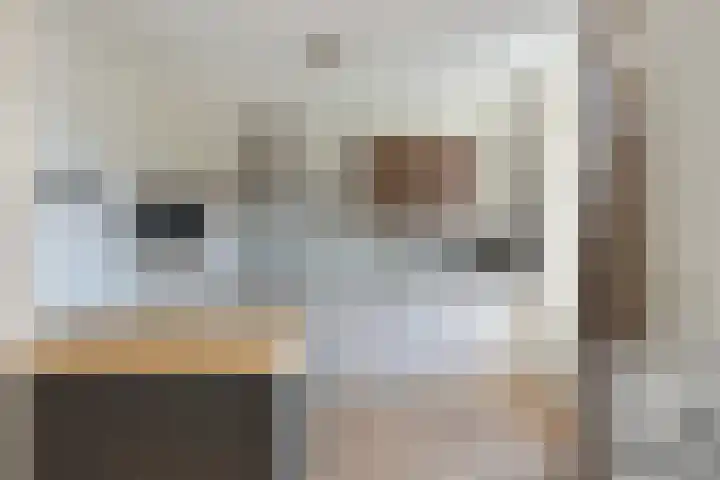 Notarisappel 21 Helden thumbnail 16