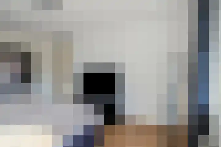 Notarisappel 21 Helden thumbnail 20