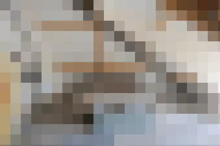 Notarisappel 21 Helden thumbnail 29