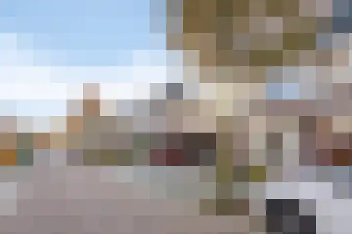 Notarisappel 21 Helden foto 3
