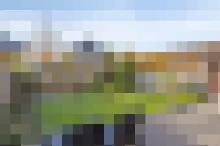 Notarisappel 21 Helden thumbnail 31