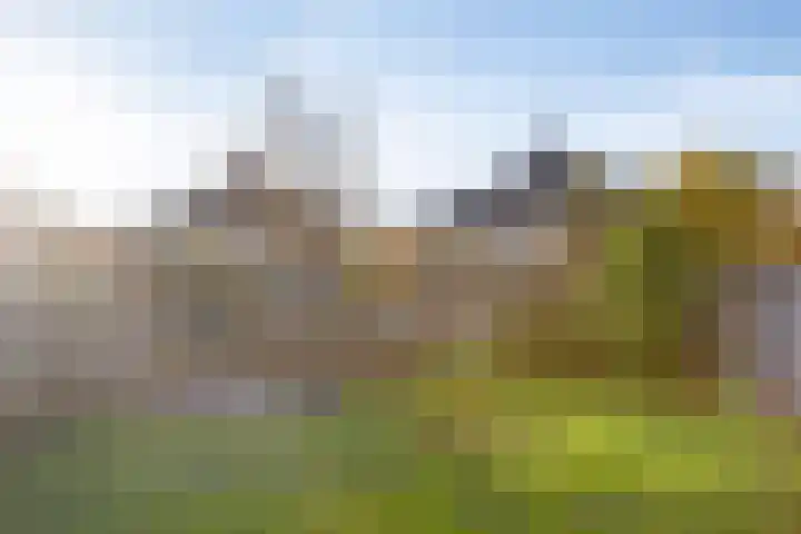 Notarisappel 21 Helden thumbnail 32