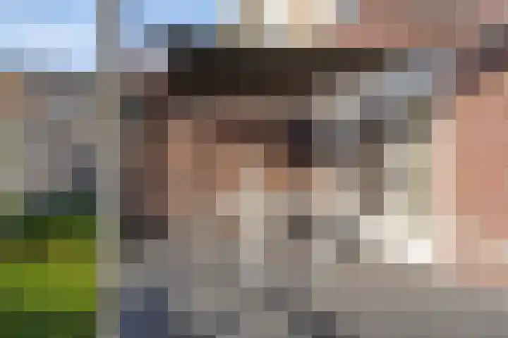 Notarisappel 21 Helden thumbnail 33