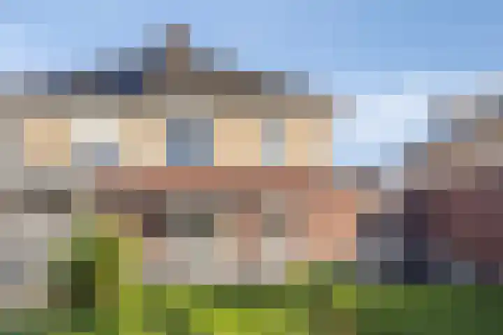Notarisappel 21 Helden thumbnail 34