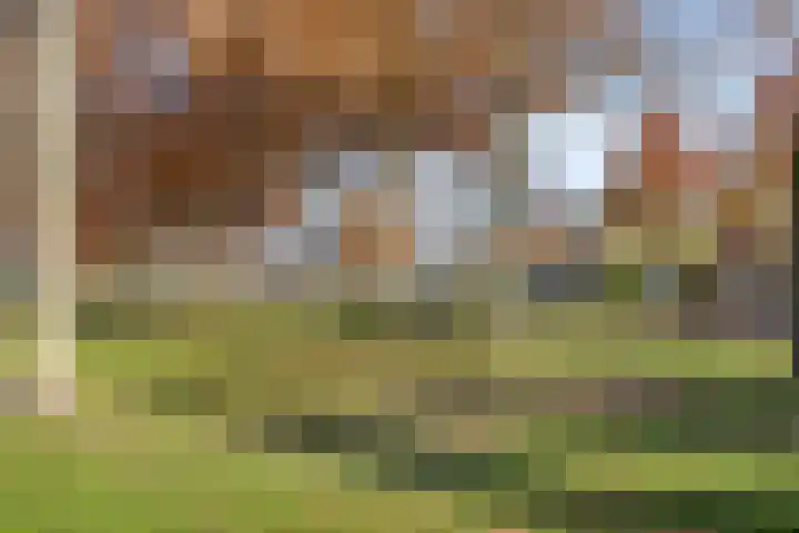 Notarisappel 21 Helden thumbnail 35