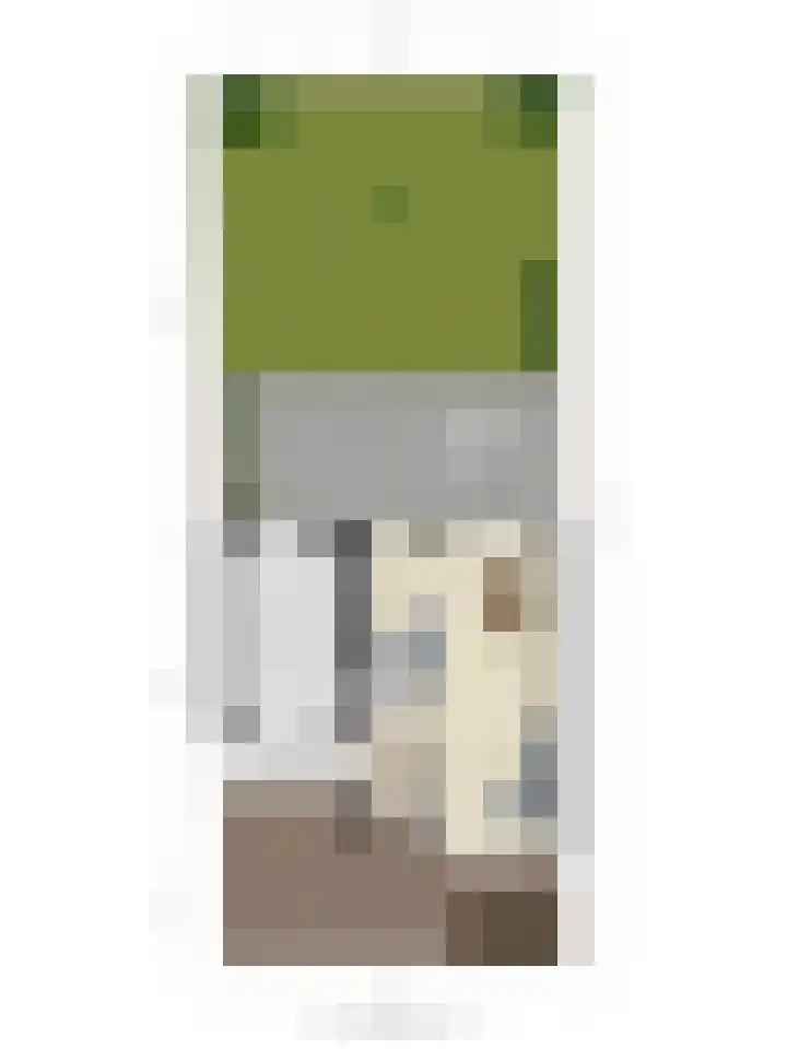 Notarisappel 21 Helden thumbnail 37