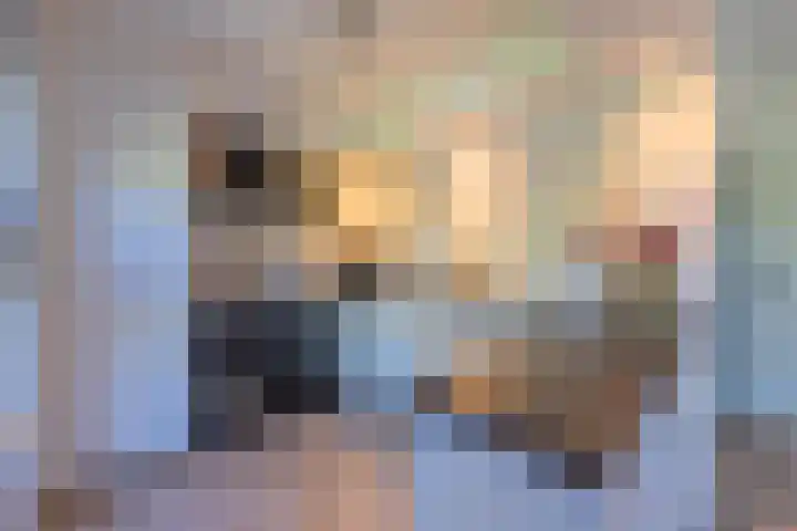 Notarisappel 220 Tiel thumbnail 15