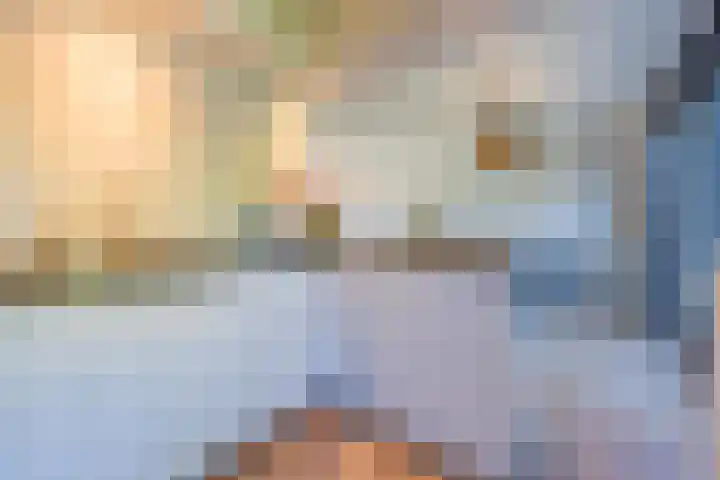Notarisappel 220 Tiel thumbnail 18