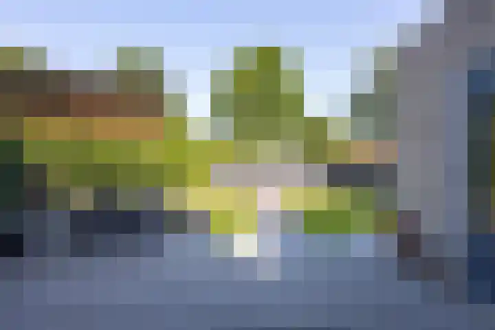 Notarisappel 220 Tiel thumbnail 27