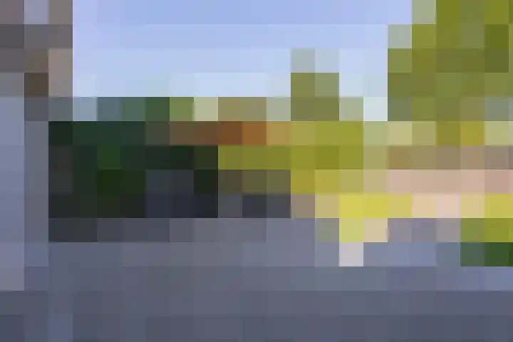 Notarisappel 220 Tiel thumbnail 28