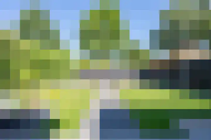 Notarisappel 220 Tiel thumbnail 30