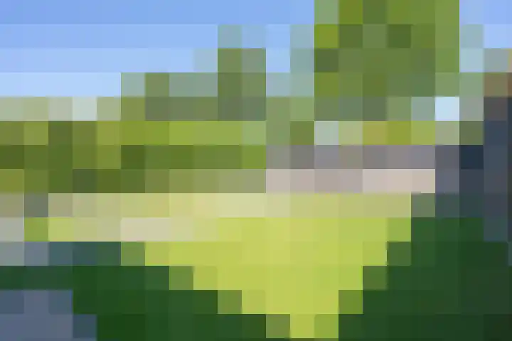 Notarisappel 220 Tiel thumbnail 31