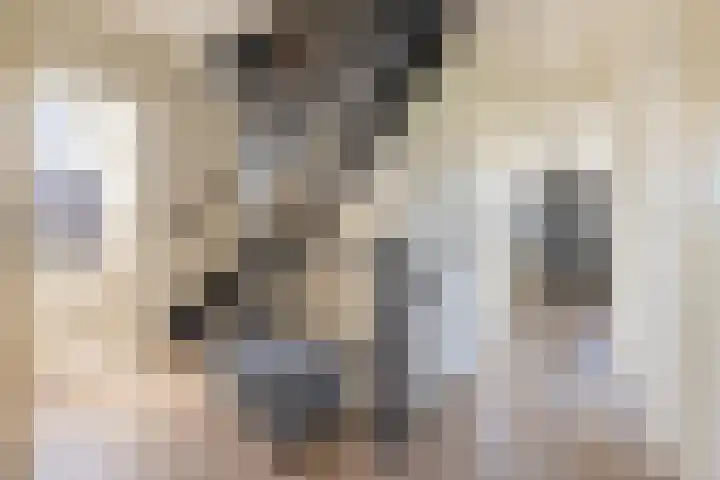 Notarisappel 220 Tiel thumbnail 37