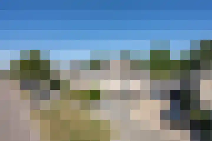 Notarisappel 220 Tiel thumbnail 4
