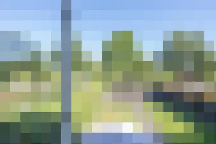 Notarisappel 220 Tiel thumbnail 42