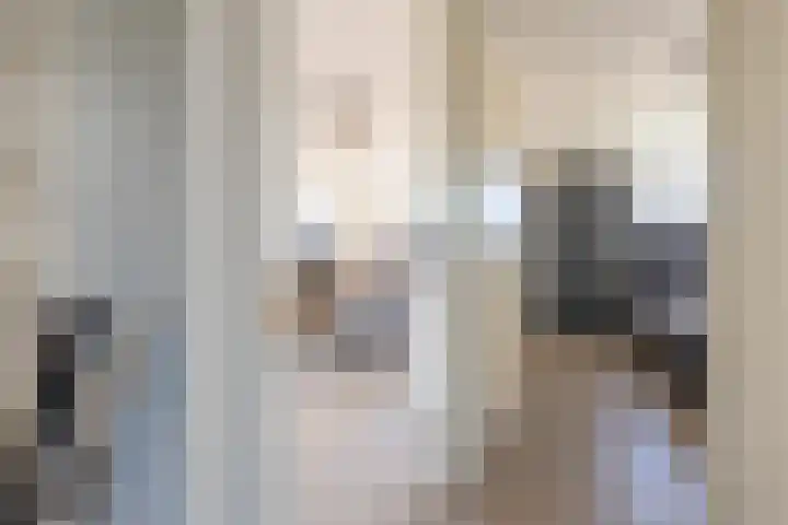 Notarisappel 220 Tiel thumbnail 43