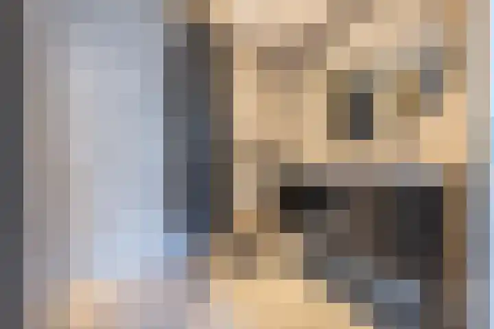 Notarisappel 220 Tiel thumbnail 49