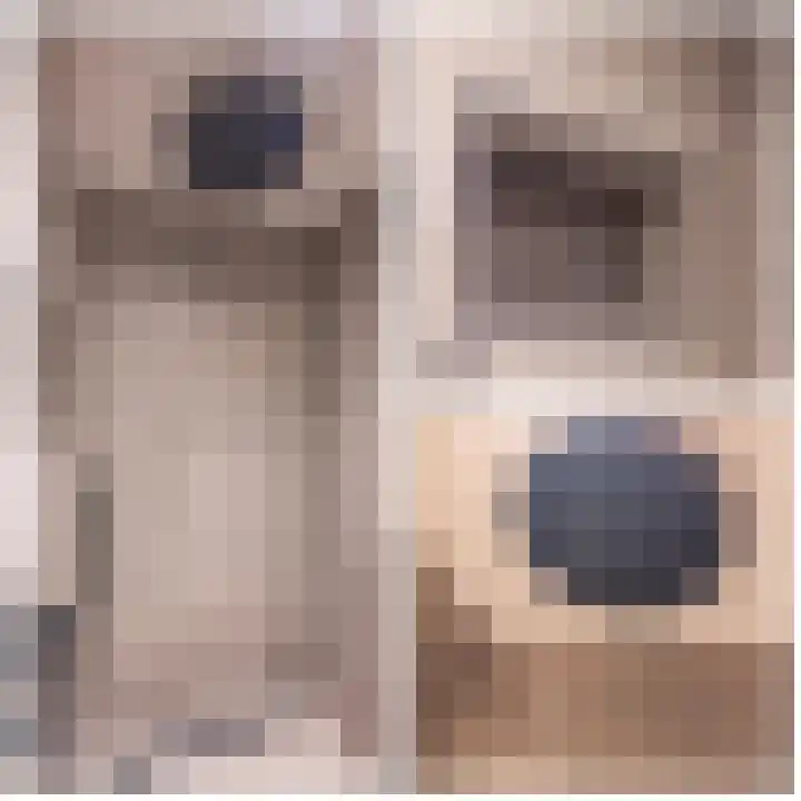 Notarisappel 220 Tiel thumbnail 51