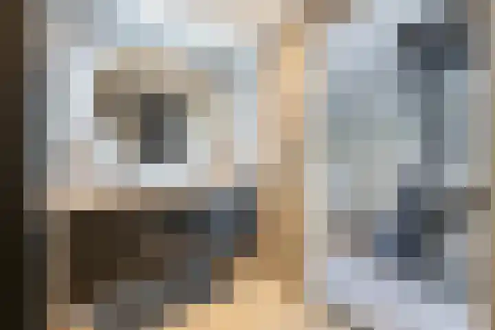 Notarisappel 220 Tiel thumbnail 52