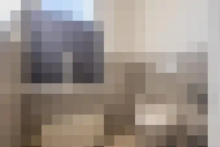 Notarisappel 220 Tiel thumbnail 53