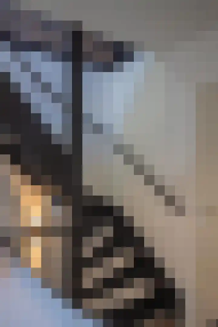 Notarisappel 220 Tiel thumbnail 54