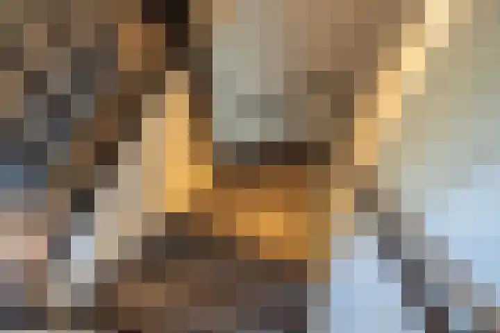 Notarisappel 220 Tiel thumbnail 58
