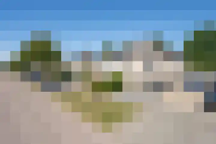 Notarisappel 220 Tiel thumbnail 59