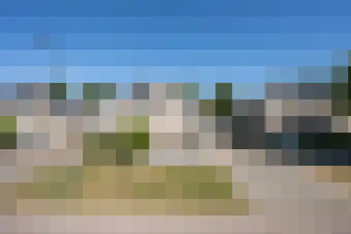 Notarisappel 220 Tiel thumbnail 6
