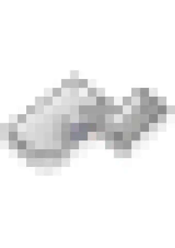 Notarisappel 220 Tiel thumbnail 61