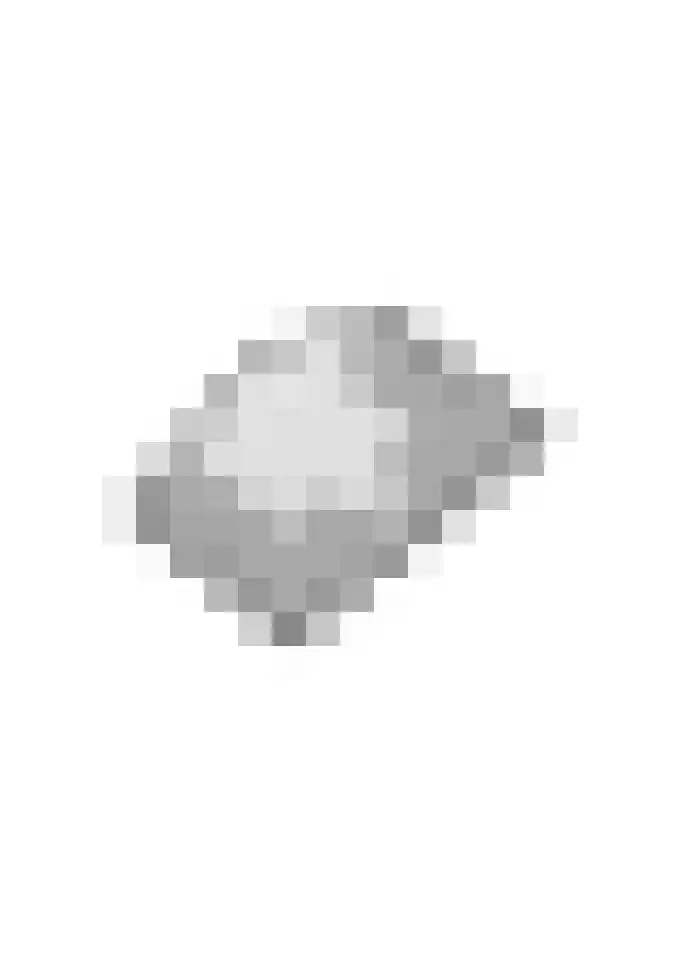 Notarisappel 220 Tiel thumbnail 65
