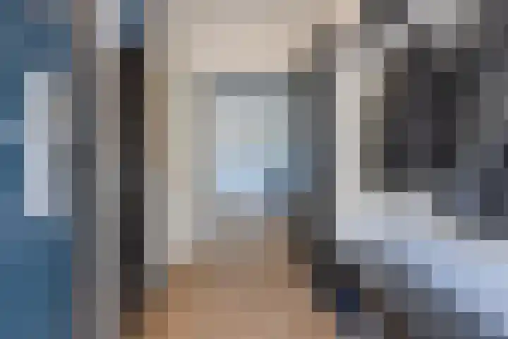Notarisappel 220 Tiel thumbnail 9
